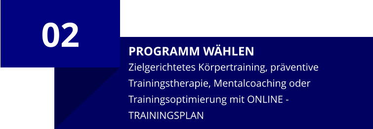 02 PROGRAMM WÄHLEN Zielgerichtetes Körpertraining, präventive Trainingstherapie, Mentalcoaching oder Trainingsoptimierung mit ONLINE - TRAININGSPLAN